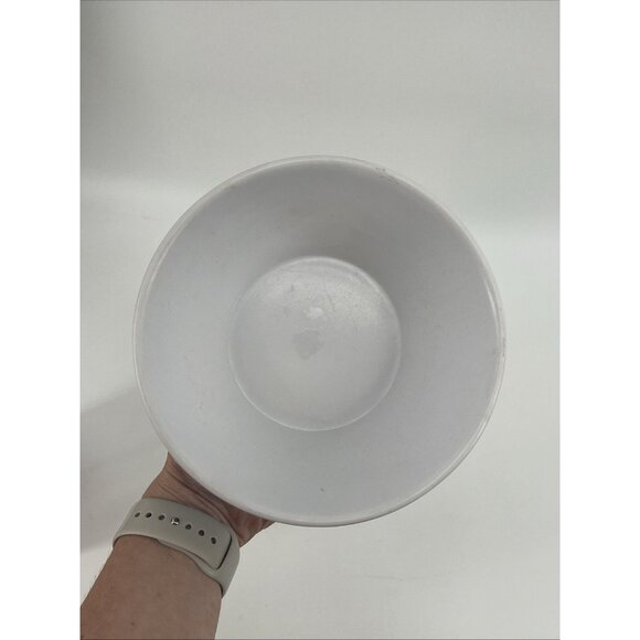 Frosted Flakes Tony the Tiger Kellogg’s Plastic Cereal Bowl Retro Image - 2014 - Picture 10 of 13